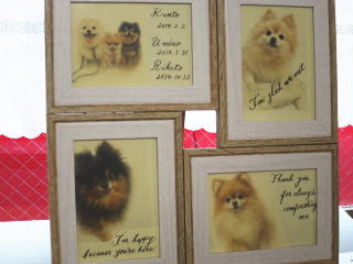 わんちゃんとカリグラフィー