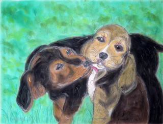 �w�䂪�q�Ɏ��Ă���r�[�O���A���������I���ł͂Ȃ��x