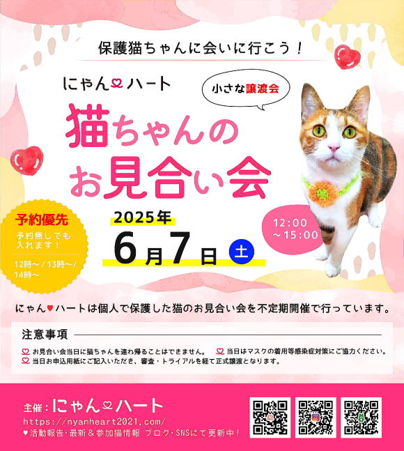 にゃんハート　譲渡会　2025年6月