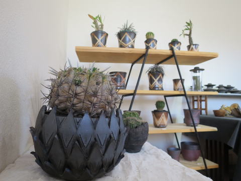 �����E�򍪐A�������A�ؔ��@���[�i��