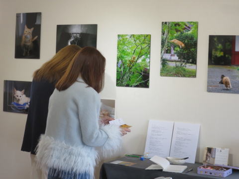 みんなにあいされる猫