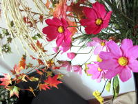 和みの花　四季折々の花に囲まれて　ピコラ トレビアート