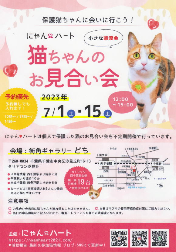 にゃんハート　猫ちゃん　譲渡会 2023年7月