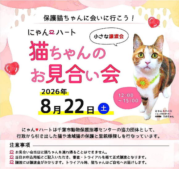 にゃんハート　保護猫譲渡会　お見合い
